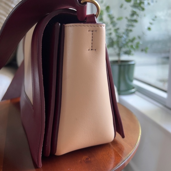 CELINE Medium Frame Bag - Picture 9 of 11